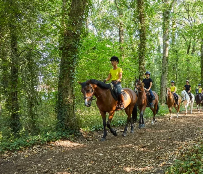 foret-escoublac-balade-a-cheval
